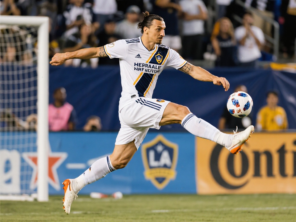 进行对提升 进行对提升